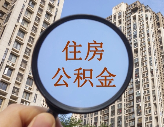 山东退休后查不到公积金明细了吗（退休后公积金查询不到原因）